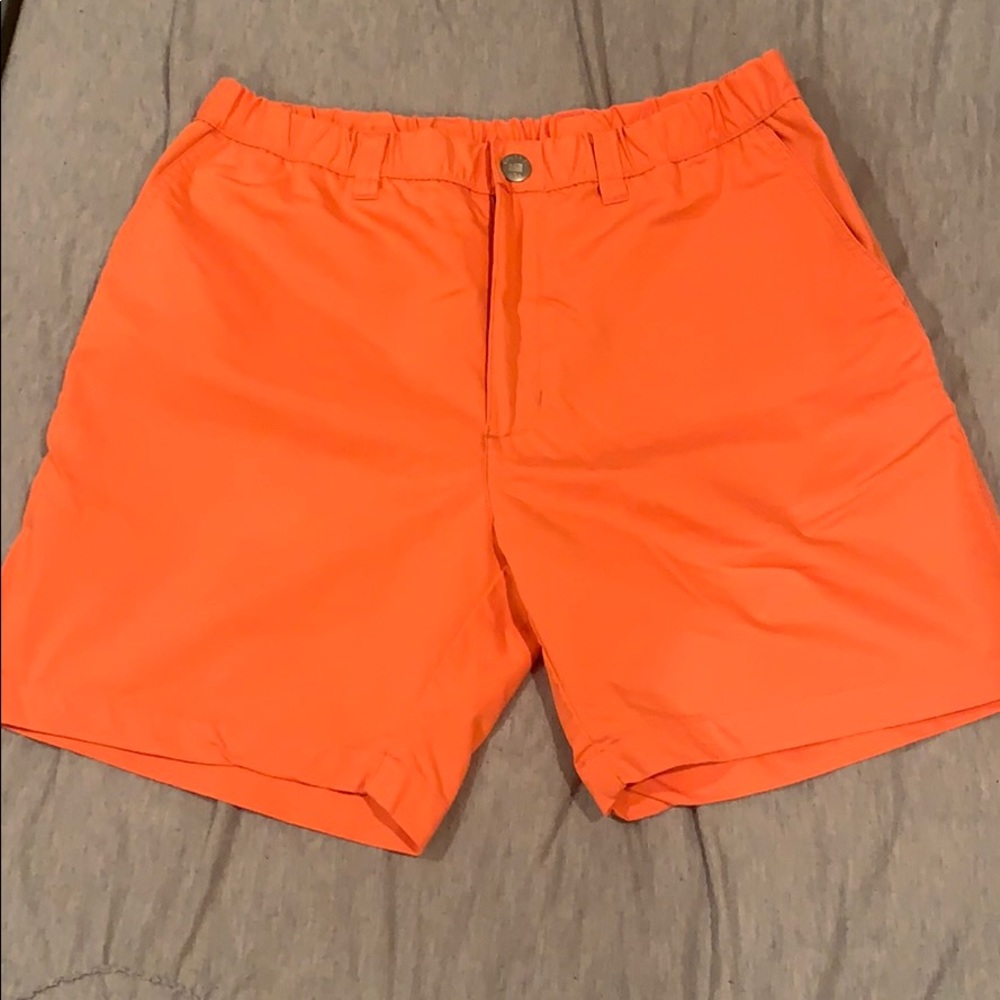 Chubbies golf shorts
